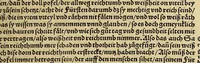 An illustration from Weltbuch : Spiegel vnd Bildtniss des gantzen Erdtbodens (1534)