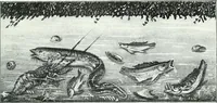 An illustration from Weltgeschichte der Kunst bis zur Erbauung der Sophienkirche (1888)