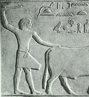 An illustration from Weltgeschichte der Kunst bis zur Erbauung der Sophienkirche (1888)