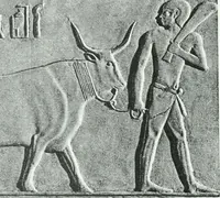 An illustration from Weltgeschichte der Kunst bis zur Erbauung der Sophienkirche (1888)