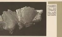 Picture 3 of 10 from Wendingen : maandblad voor bouwen en sieren (1918), leaf 16