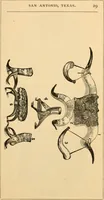 Picture 17 of 21 from Wenzel Friedrich, manufacturer of horn furniture. (1890), leaf 32