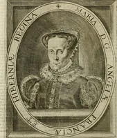Picture 18 of 123 from Wereld spiegel waer in vertoontword de beschrÿvinge der kÿken staten ... (1621), leaf 75