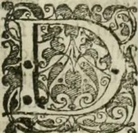 An illustration from Wereld spiegel waer in vertoontword de beschrÿvinge der kÿken staten ... (1621)