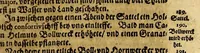 An illustration from West-Indianische Reisse, vnd Beschreibung der Beläg- vnd Eroberung der Statt S. Salvador in der Bahie von Todos os Sanctos inn dem Lande von Brasilia. Welches von Anno i623. bis ins i626. verrichtet worden. (1627)
