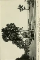 An illustration from What of the city? America's greatest issue--city planning, what it is and how to go about it to achieve success (1919)