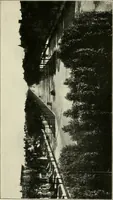 An illustration from What of the city? America's greatest issue--city planning, what it is and how to go about it to achieve success (1919)