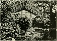 An illustration from What of the city? America's greatest issue--city planning, what it is and how to go about it to achieve success (1919)