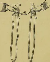 An illustration from What shall we do to-night? or, Social amusements for evening parties. Furnishing complete and varied programmes for twenty-six entertainments (1873)