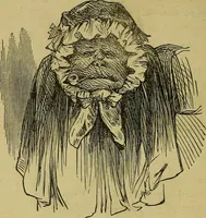 An illustration from What shall we do to-night? or, Social amusements for evening parties. Furnishing complete and varied programmes for twenty-six entertainments (1873)