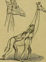Picture 29 of 94 from What shall we do to-night? or, Social amusements for evening parties. Furnishing complete and varied programmes for twenty-six entertainments (1873), leaf 71