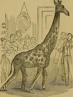 An illustration from What shall we do to-night? or, Social amusements for evening parties. Furnishing complete and varied programmes for twenty-six entertainments (1873)