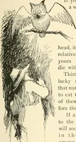 An illustration from What they say in New England; a book of signs, sayings, and superstitions (1896)