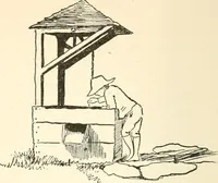 Picture 13 of 23 from What they say in New England; a book of signs, sayings, and superstitions (1896), leaf 123