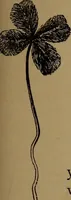 An illustration from What they say in New England; a book of signs, sayings, and superstitions (1896)