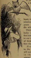 An illustration from What they say in New England; a book of signs, sayings, and superstitions (1896)
