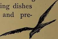 Picture 29 of 32 from What they say in New England; a book of signs, sayings, and superstitions (1896), leaf 241