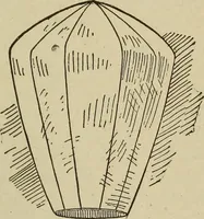 An illustration from What to do and how to do it; the American boys handy book (1920)