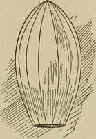 An illustration from What to do and how to do it; the American boys handy book (1920)