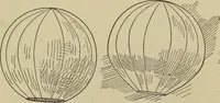 An illustration from What to do and how to do it; the American boys handy book (1920)