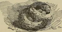 An illustration from What to do and how to do it; the American boys handy book (1920)