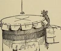 Picture 138 of 294 from What to do and how to do it; the American boys handy book (1920), leaf 240