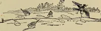 An illustration from What to do and how to do it; the American boys handy book (1920)