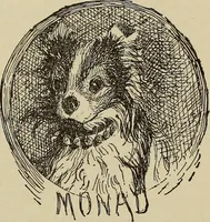 Picture 148 of 294 from What to do and how to do it; the American boys handy book (1920), leaf 252