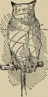 An illustration from What to do and how to do it; the American boys handy book (1920)