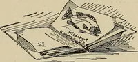 An illustration from What to do and how to do it; the American boys handy book (1920)