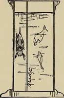 Picture 157 of 294 from What to do and how to do it; the American boys handy book (1920), leaf 271
