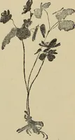 An illustration from What to do and how to do it; the American boys handy book (1920)