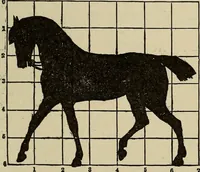 An illustration from What to do and how to do it; the American boys handy book (1920)