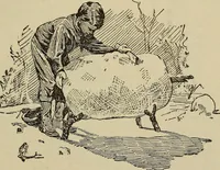 An illustration from What to do and how to do it; the American boys handy book (1920)