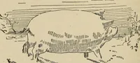 An illustration from What to do and how to do it; the American boys handy book (1920)