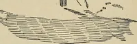 An illustration from What to do and how to do it; the American boys handy book (1920)
