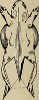 An illustration from What to do and how to do it; the American boys handy book (1920)