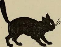 An illustration from What to do and how to do it; the American boys handy book (1920)
