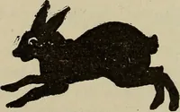 An illustration from What to do and how to do it; the American boys handy book (1920)