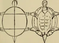 Picture 18 of 294 from What to do and how to do it; the American boys handy book (1920), leaf 38