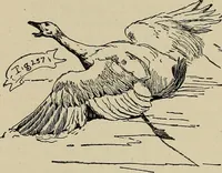 An illustration from What to do and how to do it; the American boys handy book (1920)