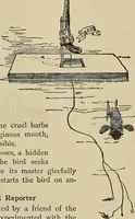 An illustration from What to do and how to do it; the American boys handy book (1920)