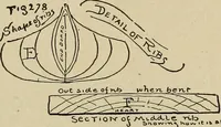 Picture 269 of 294 from What to do and how to do it; the American boys handy book (1920), leaf 426