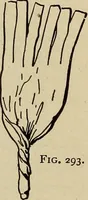 Picture 278 of 294 from What to do and how to do it; the American boys handy book (1920), leaf 440