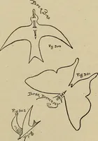 An illustration from What to do and how to do it; the American boys handy book (1920)