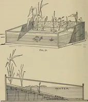 An illustration from What to do and how to do it; the American boys handy book (1920)