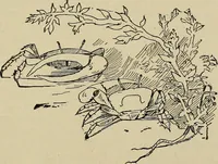 Picture 51 of 294 from What to do and how to do it; the American boys handy book (1920), leaf 86