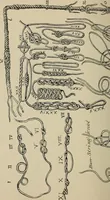An illustration from What to do and how to do it; the American boys handy book (1920)