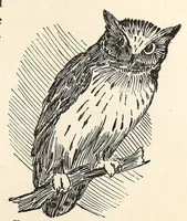 An illustration from What to do and how to do it : the American boy's handy book / by D. C. Beard. (1882)