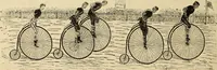 Picture 43 of 83 from The wheel (1880), leaf 121